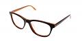 Pacoima Discount Eyeglasses Brown Orange