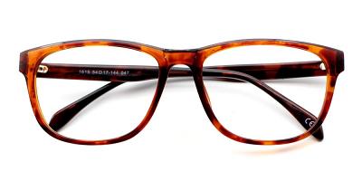 Nora Eyeglasses Demi Nora Eyeglasses Demi